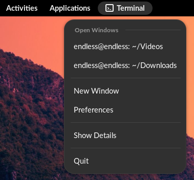 App Menu of Terminal